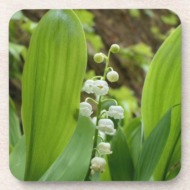 Posavasos Lily del Valle (Frente)