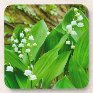 Posavasos Lily del Valle