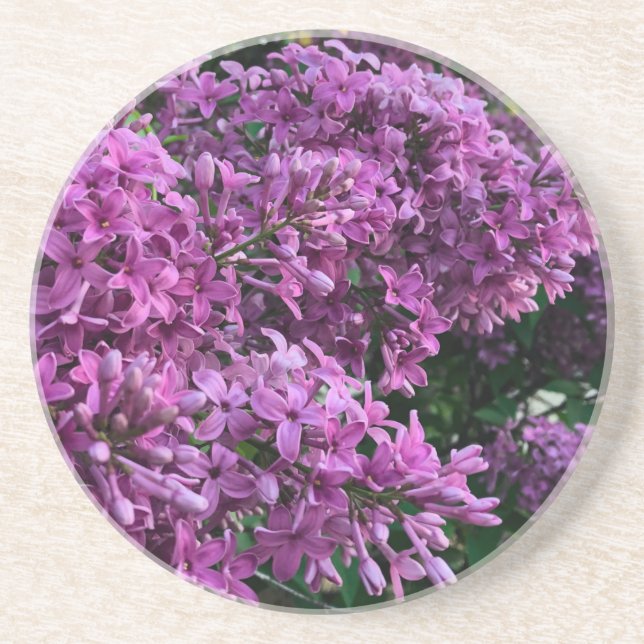 Posavasos Línlacas rosadas púrpura | foto floral rosa románt (Frente)