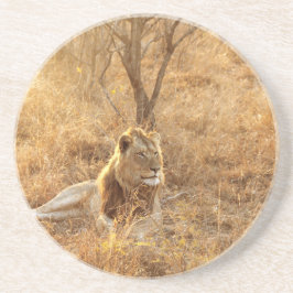 Posavasos Lion Coaster