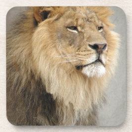 Posavasos Lion Lovers Art