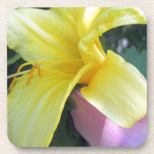 Posavasos Lirio amarillo