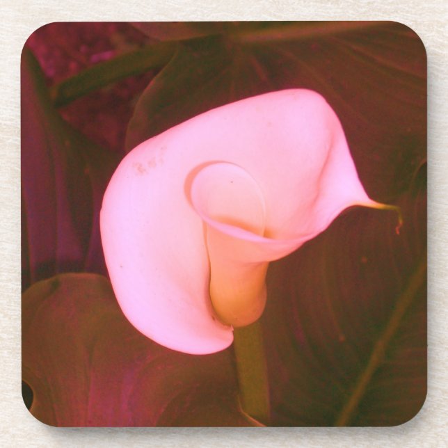 Posavasos Lirio Calla (Frente)