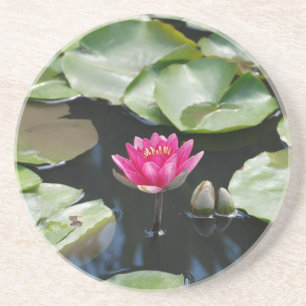 Posavasos lirio de agua