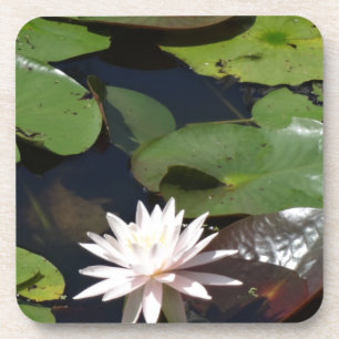 Posavasos Lirio de agua