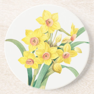 Posavasos Lirio Sagrado Chino, Pierre-Joseph Redouté, 