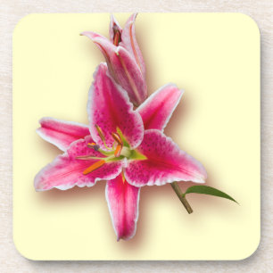 Posavasos Lirio y brote rosados del Stargazer
