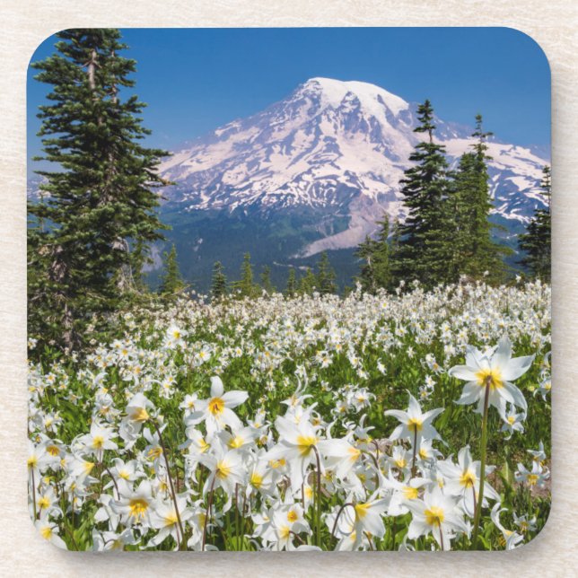 Posavasos Lirios de avalancha y Monte Rainier 2 (Frente)