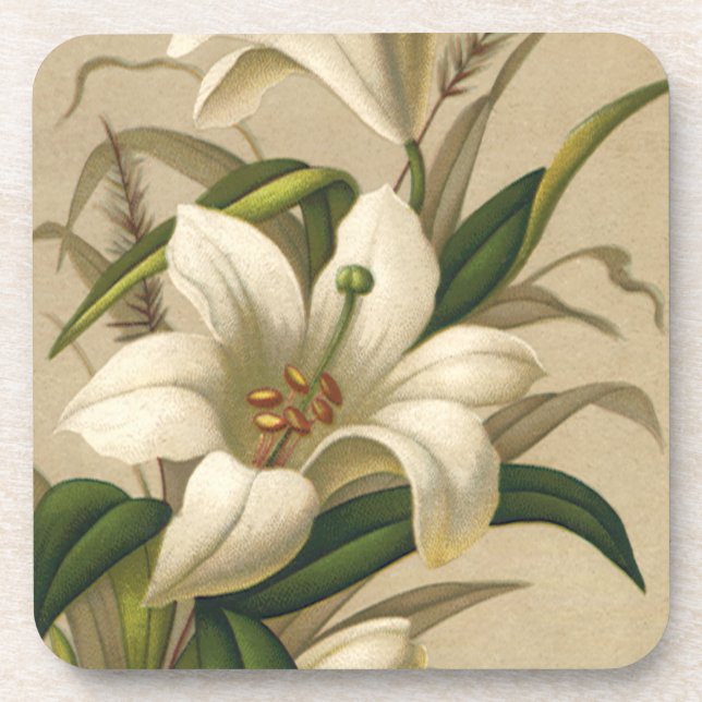 Posavasos Lirios de Pascua antiguos, flores victorianas en f (Frente)