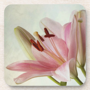 Posavasos Lirios rosados