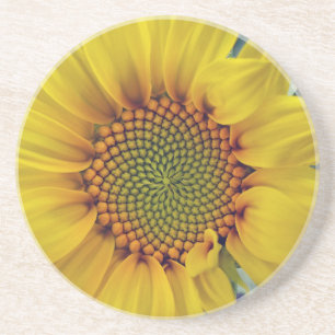 Posavasos Little Sunflower