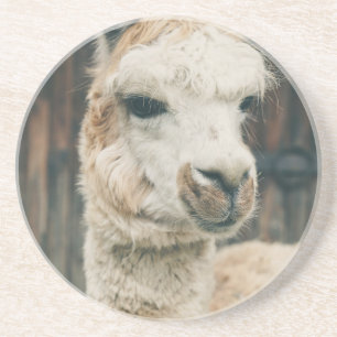 Posavasos Llama Cerrar