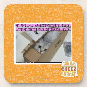Posavasos Llamada 1-800-LOLCATS