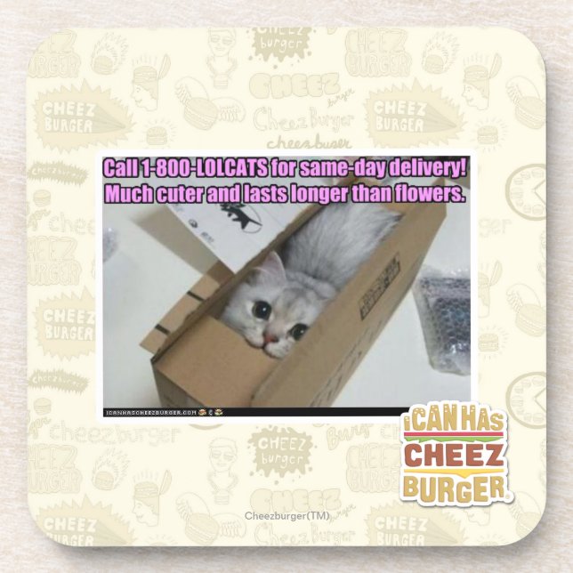 Posavasos Llamada 1-800-LOLCATS (Frente)