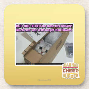 Posavasos Llamada 1-800-LOLCATS