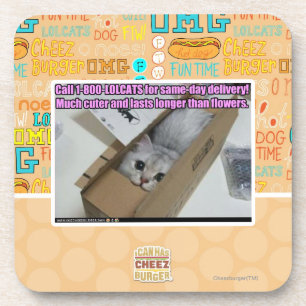 Posavasos Llamada 1-800-LOLCATS