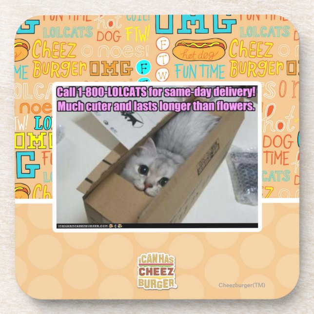 Posavasos Llamada 1-800-LOLCATS (Frente)