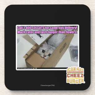 Posavasos Llamada 1-800-LOLCATS