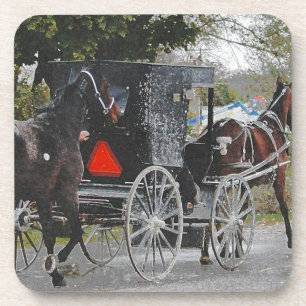 Posavasos Llevando el nuevo caballo a casa. #amish #horse