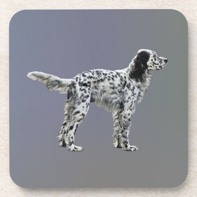 Posavasos LLewellin Setter (Frente)