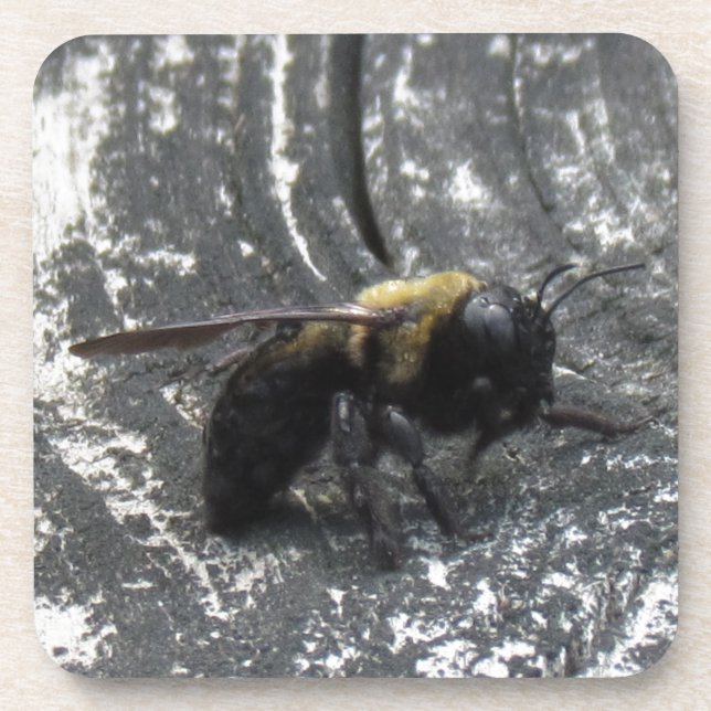 Posavasos Lluvias (Frente)