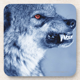 Posavasos Lobo del gruñido (lupus de Canis), perfil (Digita