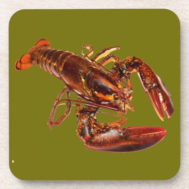 Posavasos Lobster (Frente)