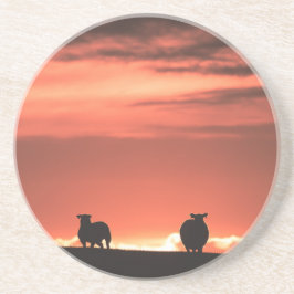 Posavasos Lofoten Islands Sunset Sheep Nature Foto