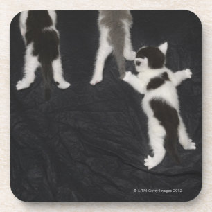 Posavasos Londres, Inglaterra, Reino Unido 2