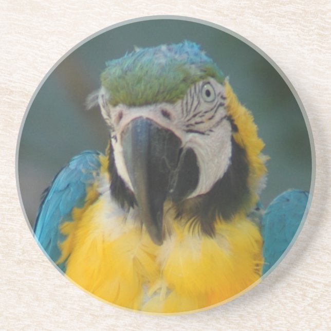 Posavasos loro (Frente)