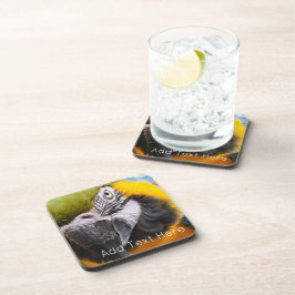 Posavasos Loro de macao verde, azul y amarillo