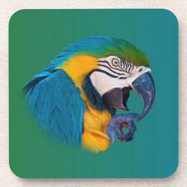 Posavasos Loro del Macaw, práctico de costa adaptable del (Frente)