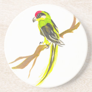 Posavasos Loro en una rama. Pintura acuarela.