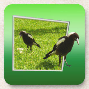 Posavasos Los Cazadores Australianos No Son Aves Tan Aterrad