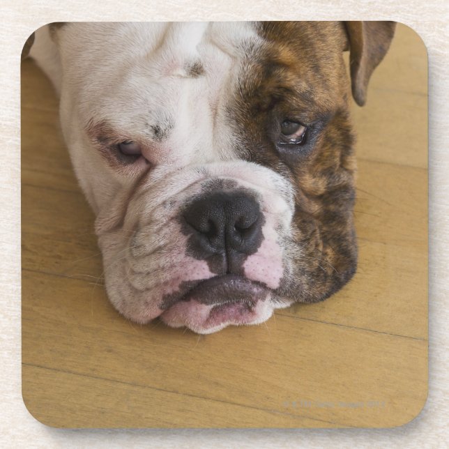 Posavasos Los E.E.U.U., New Jersey, Jersey City, retrato de (Frente)