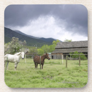 Posavasos Los E.E.U.U., Utah, caballos en rancho