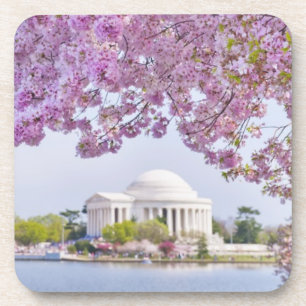 Posavasos Los E.E.U.U., Washington DC, cerezo en la
