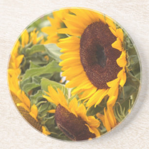 Posavasos ¡Los girasoles!