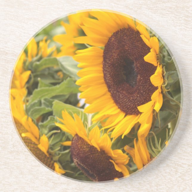 Posavasos ¡Los girasoles! (Frente)