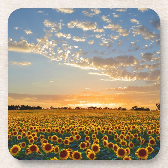 Posavasos Los girasoles al atardecer (Frente)