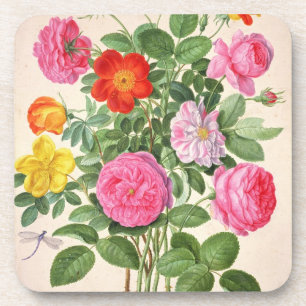 Posavasos Los rosas, platean 4 del Florilegium de Nassau