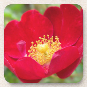 Posavasos Los rosas Son La Montaña De Corcho Rojo