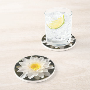 Posavasos Loto de Nenúfar Blanco Flotante 