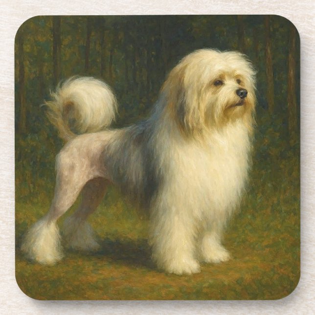 Posavasos Lowchen (Frente)