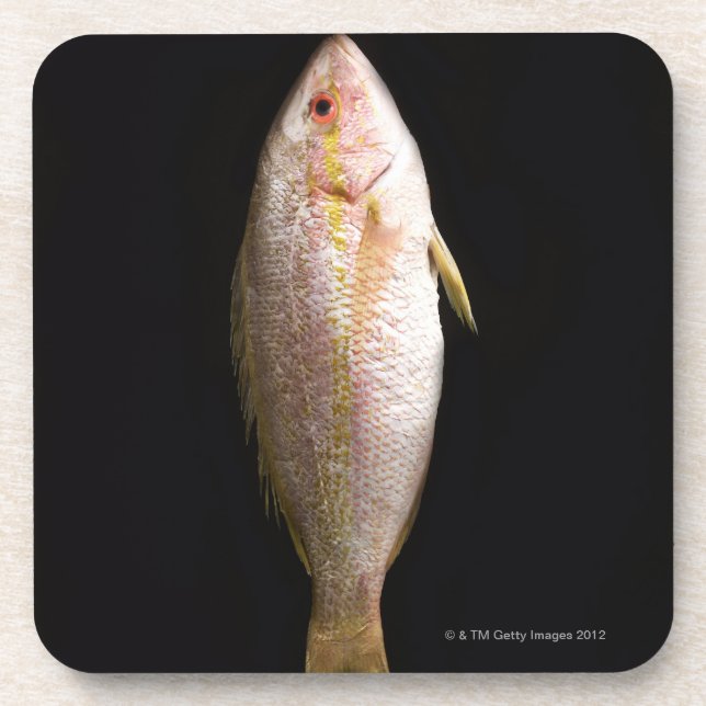 Posavasos Lubina entera (Frente)