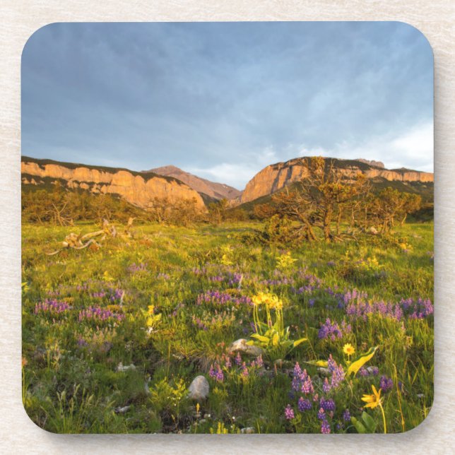 Posavasos Luces del amanecer Blackleaf Canyon (Frente)