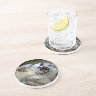Posavasos Lucha del lobo