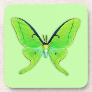 Posavasos Luna polilla sobre un fondo verde pálido