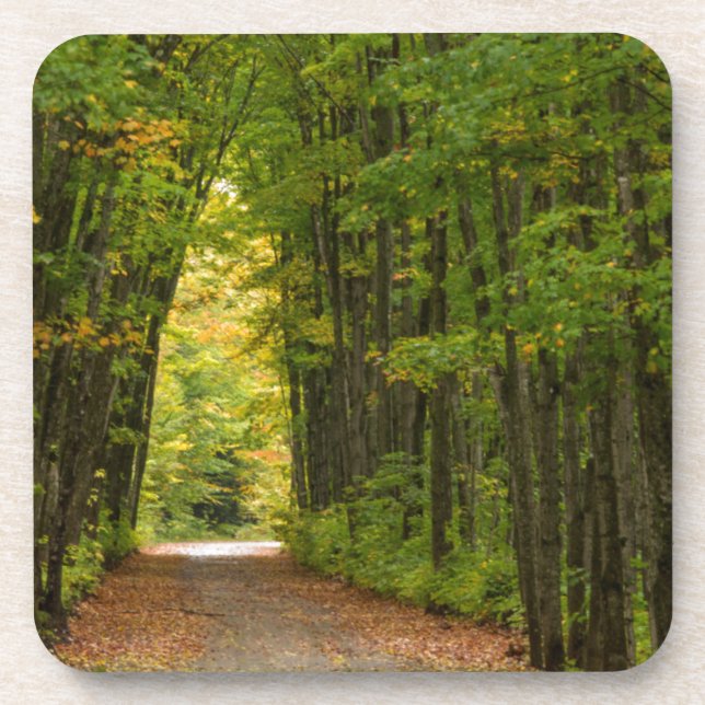 Posavasos Luz Al Final De Un Túnel De Árboles (Frente)