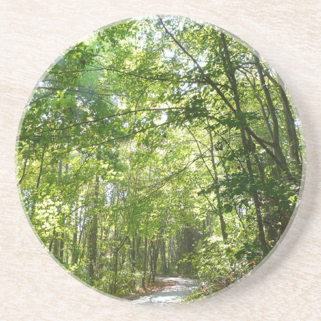 Posavasos Luz del sol en ruta de madera en el parque Centenn (Frente)